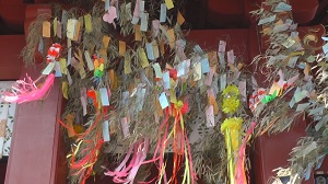 神田明神 七夕祭