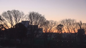 あっ森が消えた