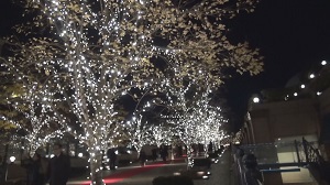 イルミネーション巡り