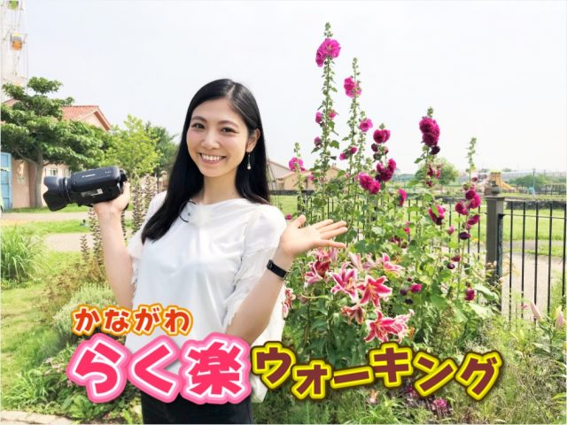 らく楽ウォーキング_タイトル_2020