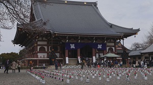 大田区馬込界隈から池上本門寺界隈までの花めぐりです。