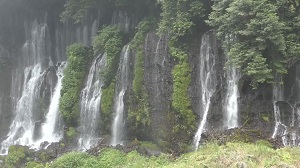 柿田川湧水から千框の棚田へ