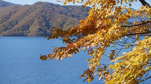 中禅寺湖の紅葉