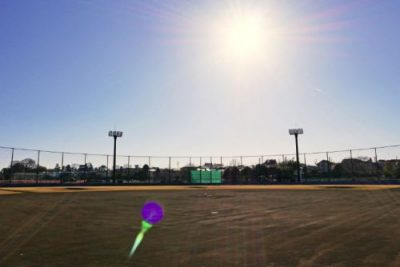 非公開: 高校野球 夏