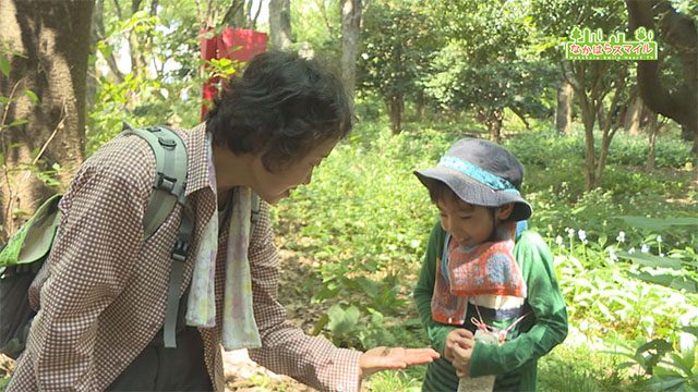 みどりなおさんぽ　～せみの抜け殻しらべ～