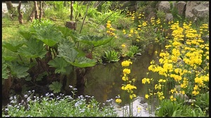 箱根湿生花園