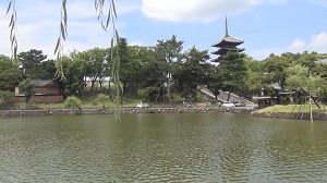 古都浪漫 西ノ京と大仏殿
