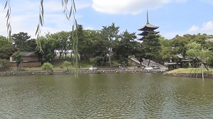 古都浪漫　西ノ京と大仏殿