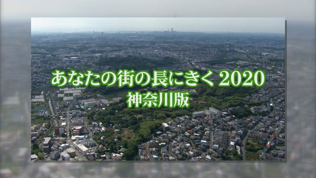あなたの街の長にきく 2020 神奈川版タイトル