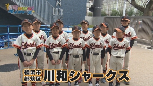 都筑区 川和シャークス