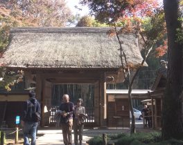 【12月の放送内容】「平林寺」など投稿映像をお届け！