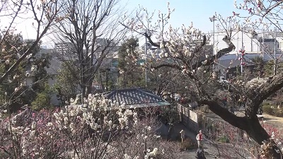 池上梅園 