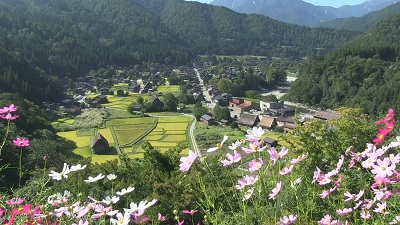 白川郷～相倉～井波～小矢部