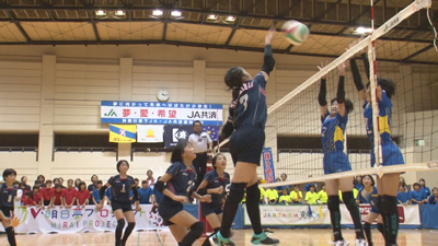 神奈川県小学生バレーボール大会