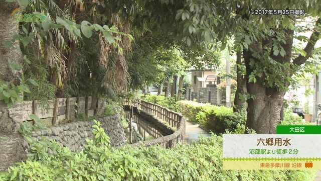 沿線百景 六郷用水（大田区）