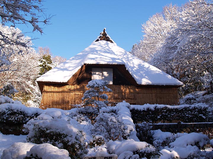 《イベント情報》特別展示「雪囲い―旧菅原家―」