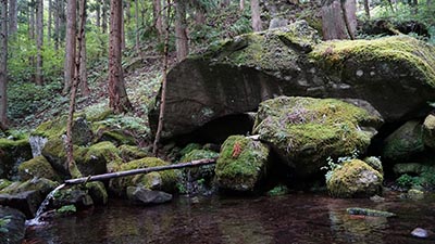 秋本奈緒美が行く 日本名水巡りの旅