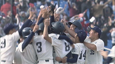 秋季東京都高等学校野球大会