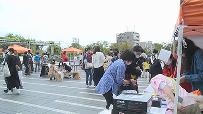 なかはらスマイル | なかはら 秋のわんにゃんまつり