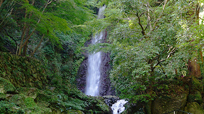 養老の滝