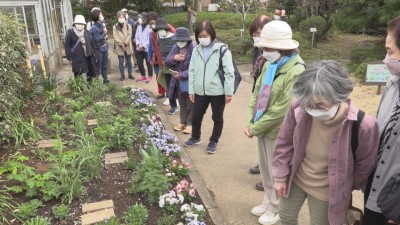 花クラブ 川崎市緑化センター見学会