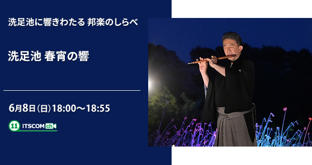 2505_shunshounohibiki