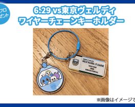 【プレゼント】6.29 vs東京ヴェルディ ワイヤーチェーンキーホルダー　1名様