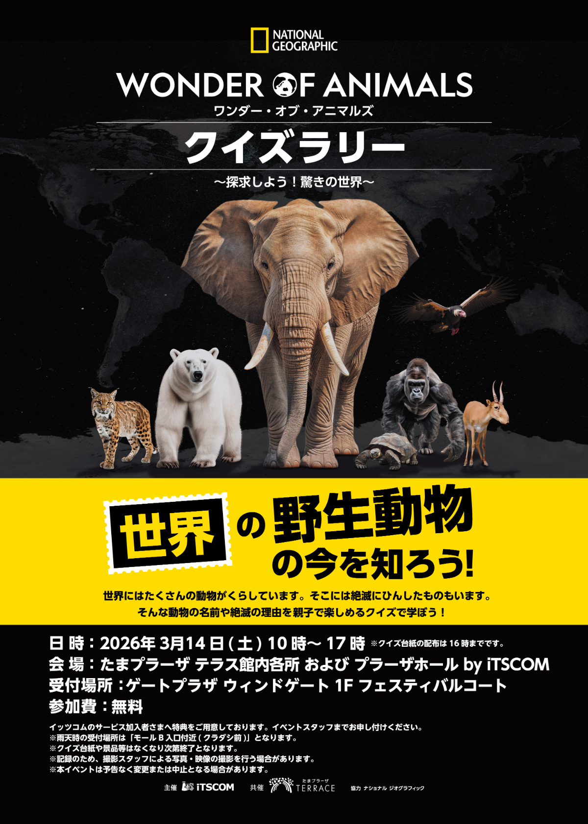 ナショナル ジオグラフィック WONDER OF ANIMALS クイズラリー