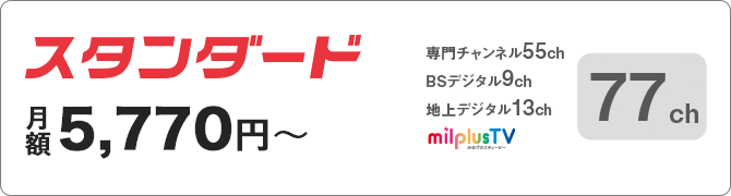 スタンダード