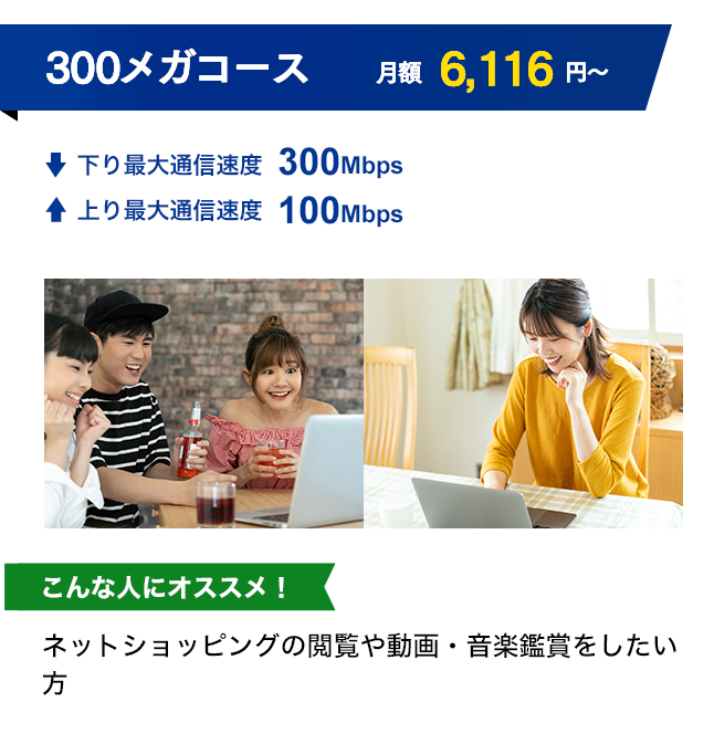 300メガコース