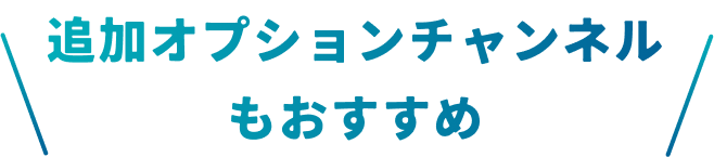 追加オプションチャンネルもおすすめ