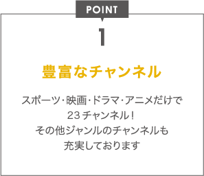 POINT 1 豊富なチャンネル