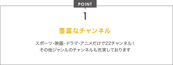 POINT 1 豊富なチャンネル