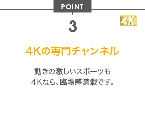 POINT 3 4Kの専門チャンネル