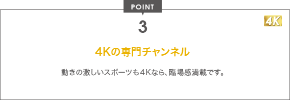 POINT 3 4Kの専門チャンネル