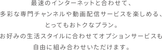 最速のインターネットと合わせて、多彩な専門チャンネルや動画配信サービスを楽しめる、とってもおトクなプラン。お好みの生活スタイルに合わせてオプションサービスも自由に組み合わせいただけます。