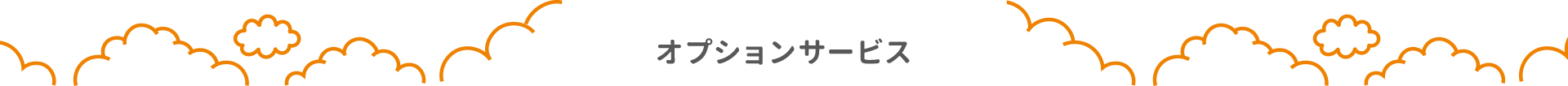 オプションサービス