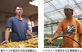 葉タバコを栽培する松永琢磨さん シクラメンを栽培する五瀬直樹さん