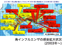 鳥インフルエンザの感染拡大状況（2003年～）