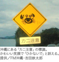 沖縄にある「カニ注意」の標識。かわいい笑顔で「ひかないで」と訴える。提供／FM沖縄・吉田鉄太郎