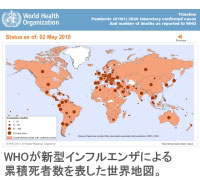 WHOが新型インフルエンザによる累積死者数を表した世界地図。