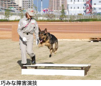 巧みな障害演技