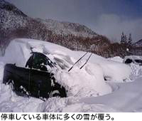 停車している車体に多くの雪が覆う。